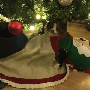 Festive Santa Knit Sweater Vest for Pet